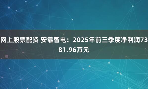 网上股票配资 安靠智电：2025年前三季度净利润7381.96万元